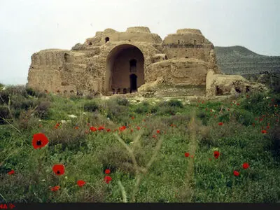 کاخ اردشیر بابکان در روزهای حساس باقی‌مانده به ثبت جهانی چه وضعیتی دارد؟/انتقال قبرستان به محلی جدید
