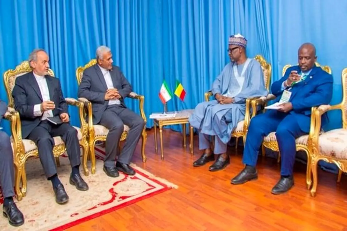 دیدار فرستاده ویژه عراقچی با وزیر خارجه نیجر