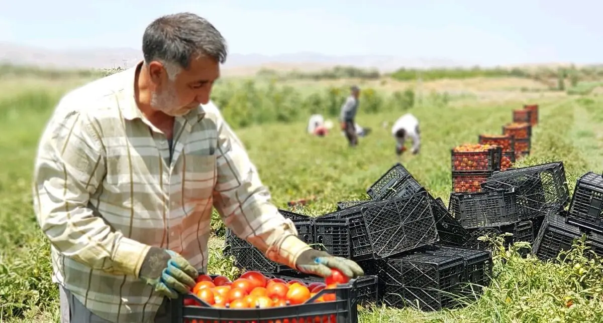 ایجاد 18 هزار شغل بنیاد برکت در بخش کشاورزی کردستان