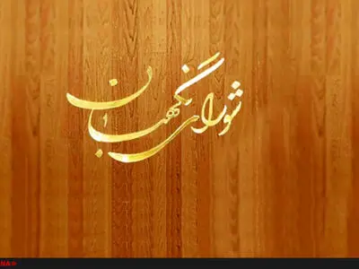 شورای نگهبان حوادث ناگوار نیجریه را محکوم کرد
