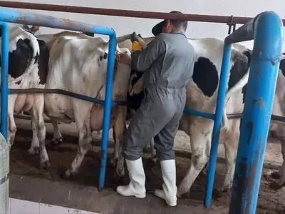 دامدار سبزواری دویست میلیون ریال جریمه شد 
