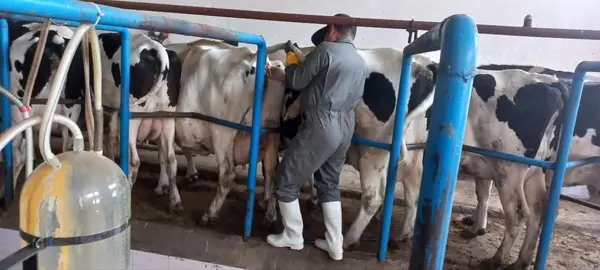 دامدار سبزواری دویست میلیون ریال جریمه شد