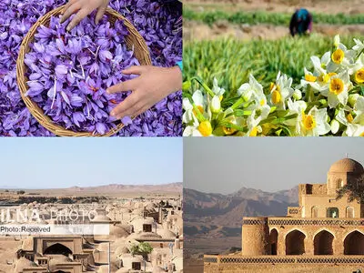 به میهمانی زیبارویان خوش عطر و نگار بروید