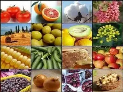 بررسی ظرفیت‌های روستاهای شهرستان کمیجان برای ایجاد روستابازار و صنایع تبدیلی
