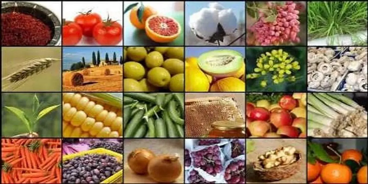 بررسی ظرفیت‌های روستاهای شهرستان کمیجان برای ایجاد روستابازار و صنایع تبدیلی