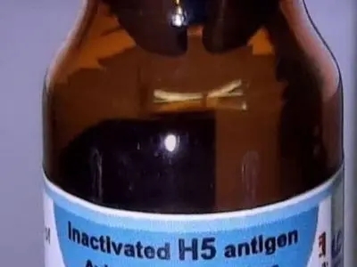 asdasd