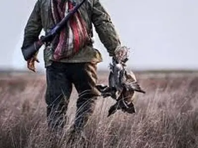 دستگیری شکارچی غیرمجاز پرندگان شکاری در اراک 