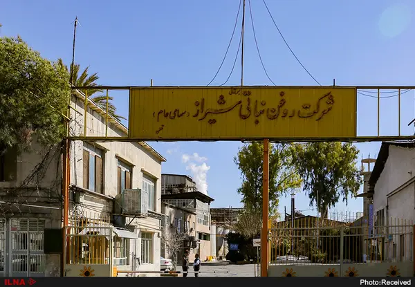 نرگس شیراز در بزنگاه یاس و امید/ رئیس شورای کار روغن‌نباتی: نمی‌توانیم حلب و ورق به نرخ دولتی خریداری کنیم / تسهیلات به اسم نرگس گرفته شد اما در کارخانه‌های دیگر هزینه شد