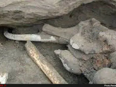 محوطه سنگواره‌های ماموت بیله سوار ثبت ملی شد