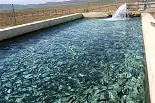 رهاسازی ۶۱ میلیون قطعه بچه ماهی در آبهای کشور