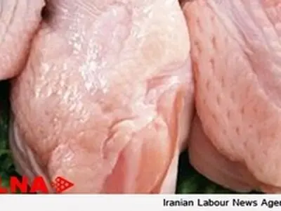 نهاده مرغداری‌های گوشتی سهمیه بندی می‌شود / بهای‌مرغ درب فروشگاه‌ها اعلام شد