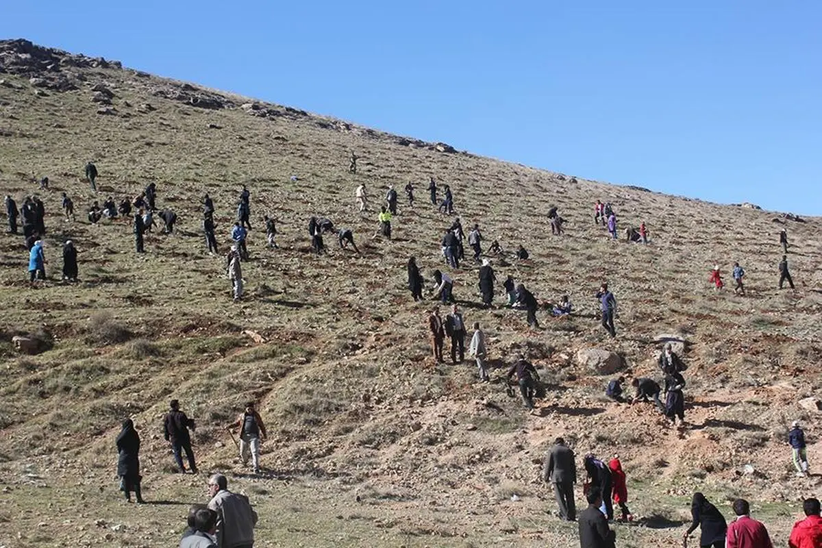 ۲۰ هزار اصله نهال در کمربند سبز خرم آباد کاشته شد