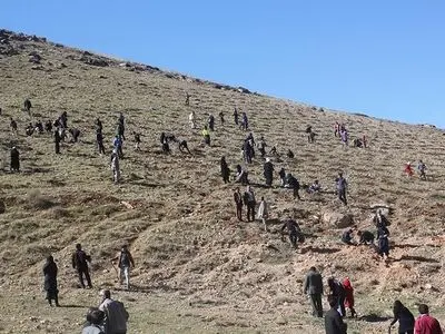 ۲۰ هزار اصله نهال در کمربند سبز خرم آباد کاشته شد