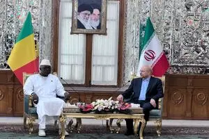 رؤسای مجالس ایران و مالی دیدار کردند