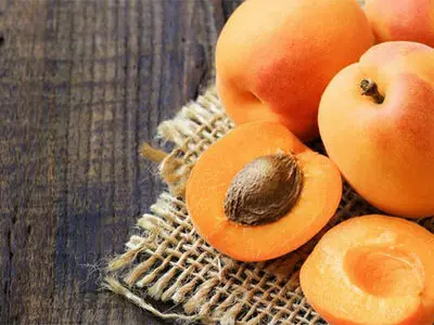 خوردن هسته این ۵ میوه باعث مرگ می‌شود