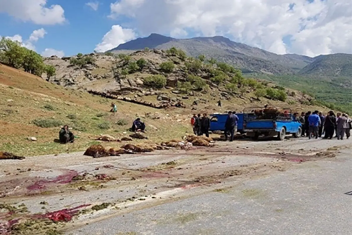 تلف شدن ۴۰ راس گوسفند در برخورد با یک‌دستگاه خاور در نمین