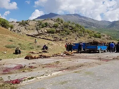 تلف شدن ۴۰ راس گوسفند در برخورد با یک‌دستگاه خاور در نمین