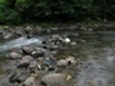 لزوم محدود شدن فضای گردشگری اطراف رود و سدها