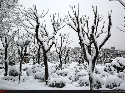 هشدار کاهش ۱۰ درجه‌ای دما و بارش برف در آذربایجان‌شرقی