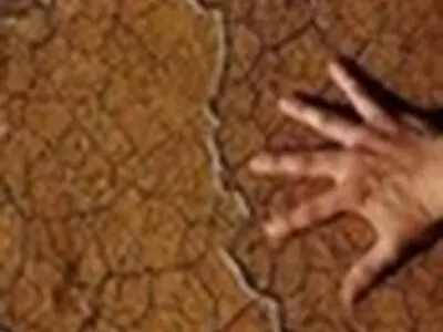 اعطای یارانه برای حل مشکلات و معضلات زیست محیطی
