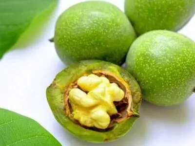 بهترین روش خشک کردن گردو تازه