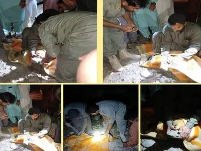 زنده‌گیری یک گاندوی سرگردان در سیلاب دشتیاری