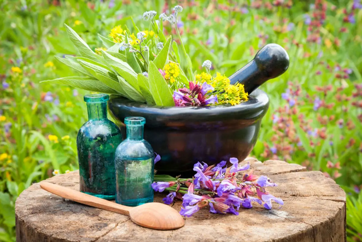 پاکسازی کبد با یک عرق گیاهی
