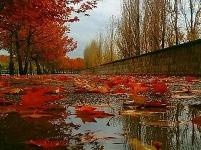 بارش باران پاییزی در نوار شمالی کشور/ خلیج فارس طوفانی می‌شود 