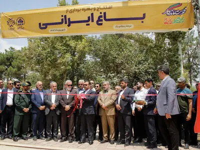 استاندار فارس: ترافیک مرکزی شهر به مرحله بحرانی رسیده است
