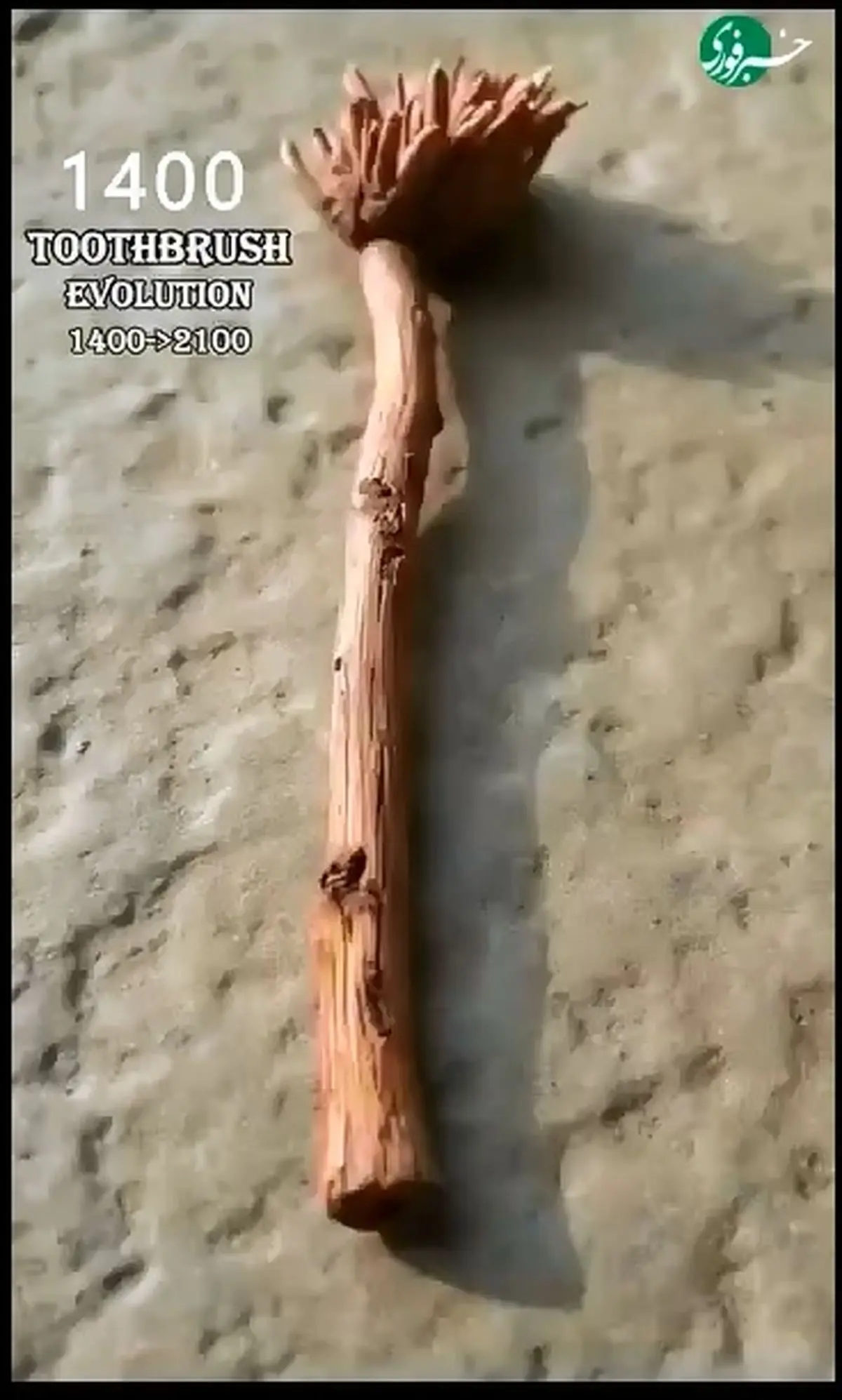 ۵۰۰۰ سال تحول؛ مسواک از دوران باستان تا عصر دیجیتال + فیلم