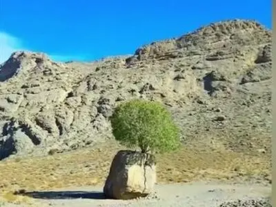 معجزه طبیعت به روایت تصویر+ فیلم