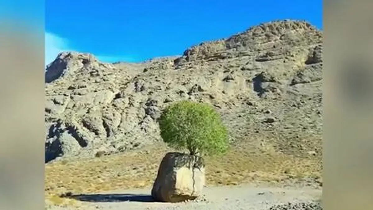 معجزه طبیعت به روایت تصویر+ فیلم