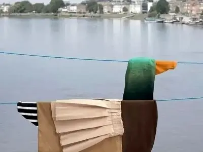 خلاقیت با «لباس‌های روی بند»! + عکس