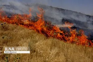 آتش سوزی در اراضی کوهستانی دهبکری بم