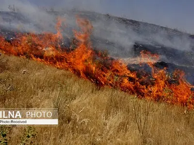 آتش سوزی در اراضی کوهستانی دهبکری بم