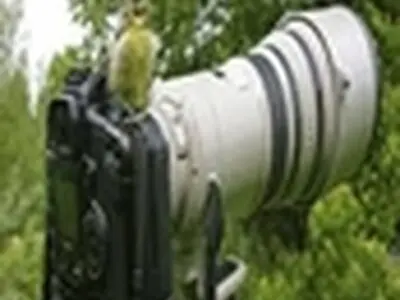 طبیعت استان البرز در قاب تصویر