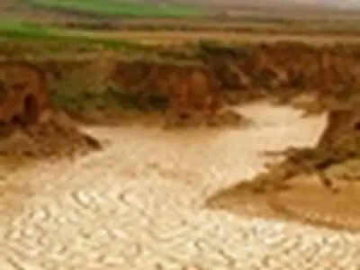 امکان شیوع بیماری همزمان با گرمایش عجیب و غریب کشور