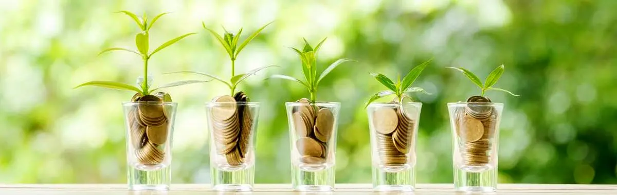 برنامه‌ریزی مدون برای افزایش سودآوری شرکت سی‌ولکس در سال‌های 1404 و 1405