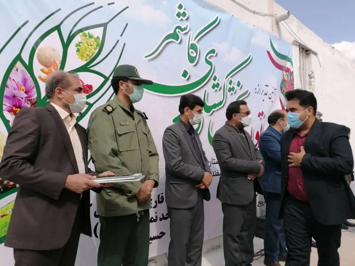 تجلیل از ۳۲ قهرمان تولید نمونه در حوزه کشاورزی شهرستان‌های کاشمر و کوهسرخ 