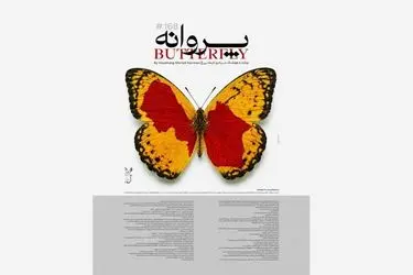 «پروانه» هوشنگ مرادی کرمانی در مسیر سازمان ملل
