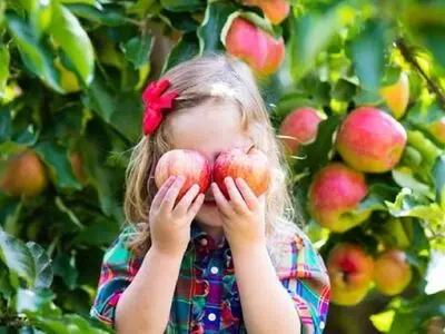 بررسی پر فروش‌ترین نهال‌ های ایران + معرفی انواع نهال های محبوب ۱۴۰۱