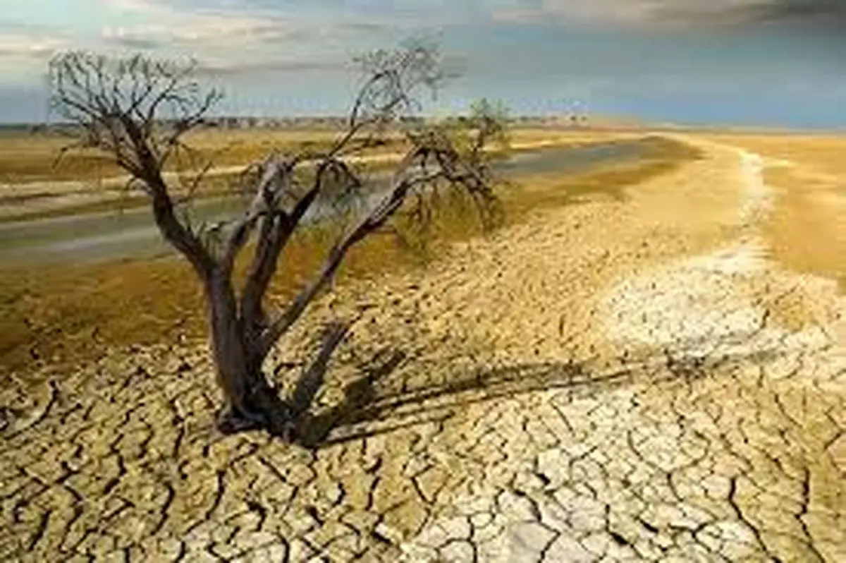 خشکسالی تالاب ها؛ فاجعه‌ای زیست محیطی که امنیت ملی را تهدید می‌کند/شهرستان‌های بروجن، فلارد، خانمیرزا و لردگان بیشترین تنش آبی را دارند
