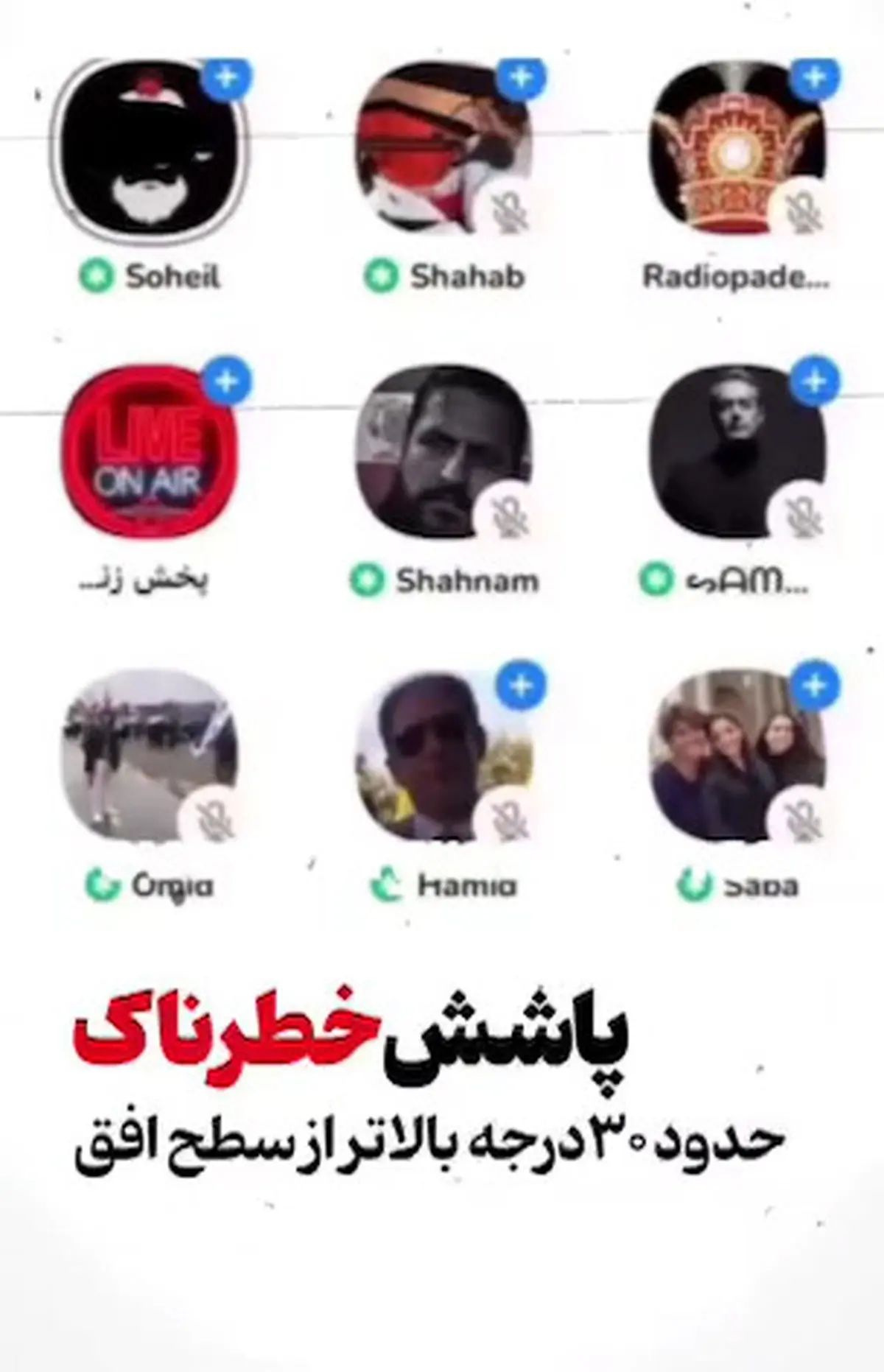 خزعبلات سرسام آور سلطنت طلبان بخاطر سس‌ پاشی بر روی ربع پهلوی + فیلم