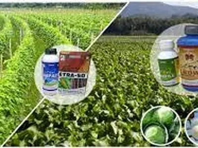حمایت از کشاورزان و دامداران تضمین کننده امنیت غذایی کشور است