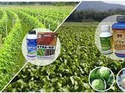 حمایت از کشاورزان و دامداران تضمین کننده امنیت غذایی کشور است