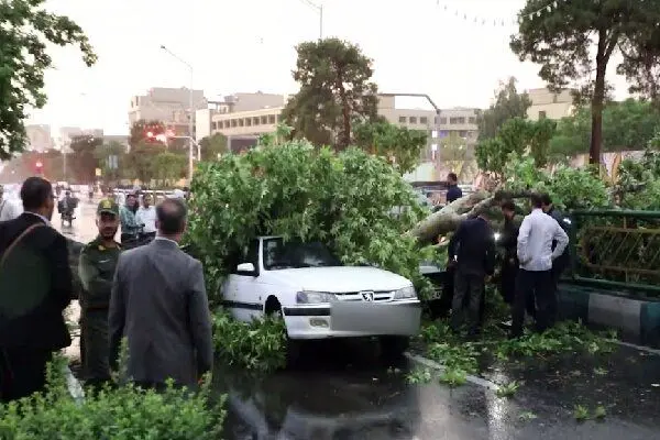 افزایش مصدومان در پی وقوع طوفان در پایتخت