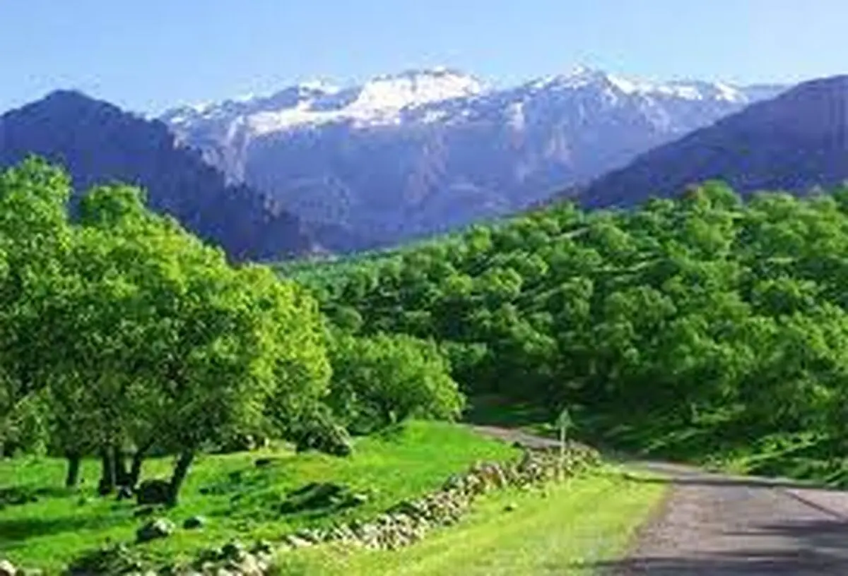هوای گیلان گرم و مناسب برای برداشت شالی است