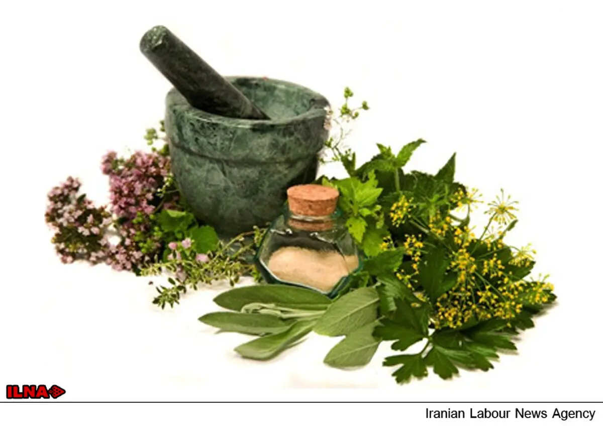 چهارمین کنگره ملی گیاهان دارویی برگزار می‌شود