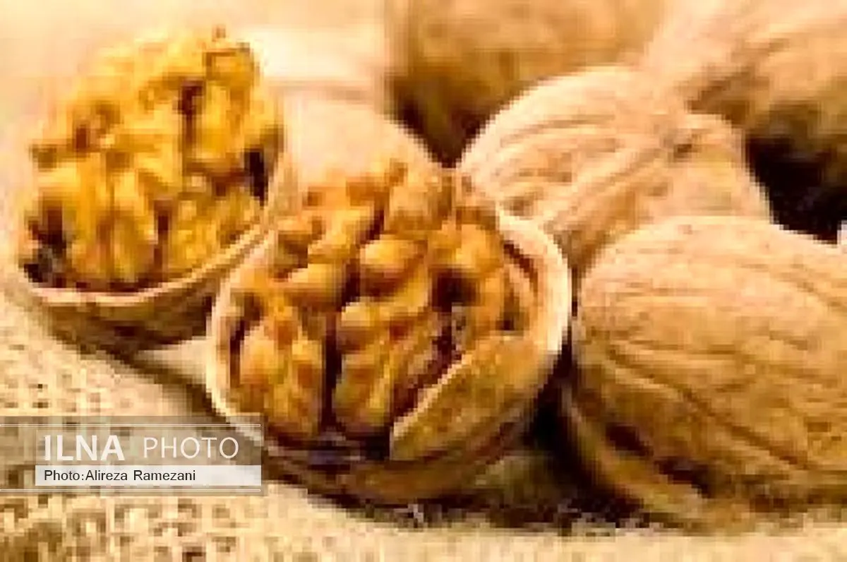 تولید 270 تن گردو در بهشهر