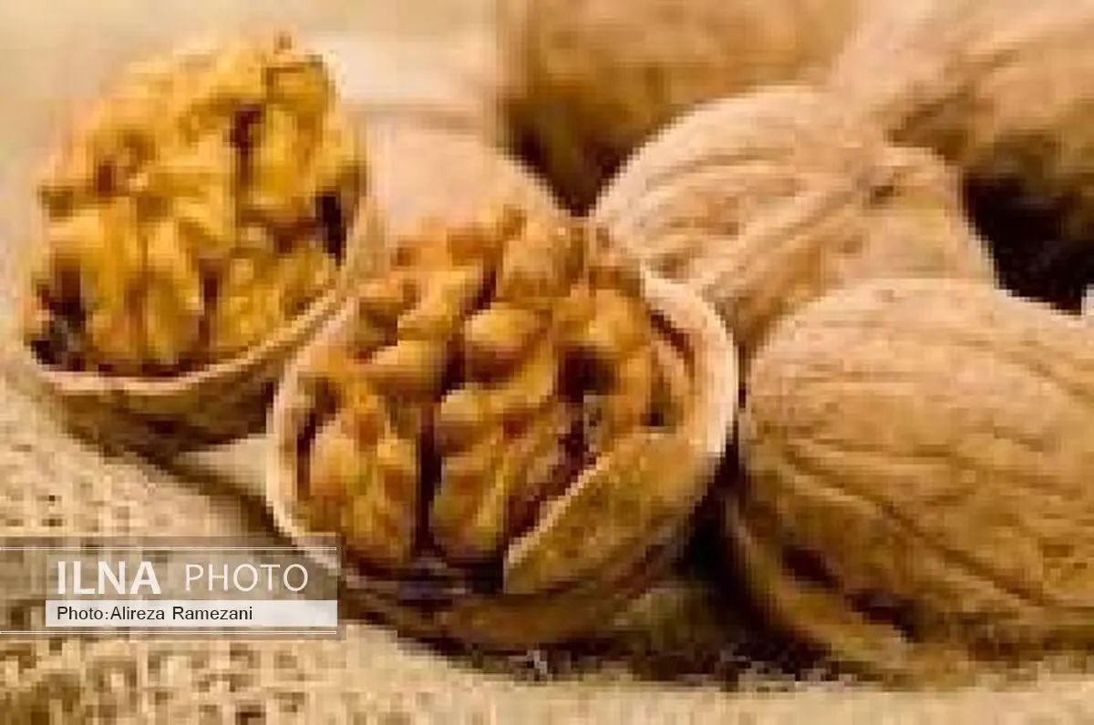 تولید 270 تن گردو در بهشهر